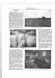 LIVRE D OR DE L ORANIE_000091